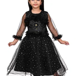 Zenat Flared Sleeve Layered Net Fit & Flare Dress-image-93