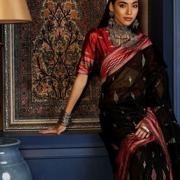 Sangria Woven Design Pure Cotton Banarasi Saree-picture-35