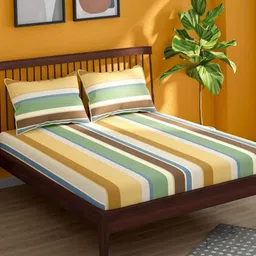 Portico Mustard & Beige 152 TC King Bedsheet with 2 Pillow Covers-31