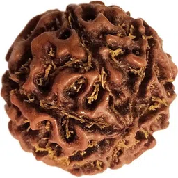 RAVIOUR LIFESTYLE Rudraksha Pendant-image-55