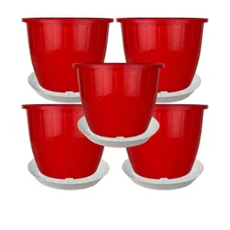 8 Inch Duro Pot for Plants with Saucer Tray-image-20