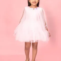 BAESD Net A-Line Dress image 1