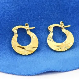 Krelin  Gold Plated Stainless Steel Circular Hoop Earrings-image-80