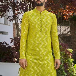 See Designs Geometric Woven Design Mandarin Collar Straight Kurta-picture-38