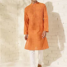 Fabindia Slim Fit Striped Mandarin Collar Cotton Straight Kurta-image-35