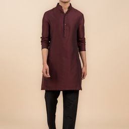 Tasva Mandarin Collar Straight Kurta-image-6