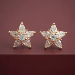 Kushal's Fashion Jewellery 92.5Silver Rose Gold-Plated Stone Studded Studs-picture-0