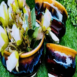 NIYARA 3-Pcs Brown & Blue Printed Ceramic Planter-14