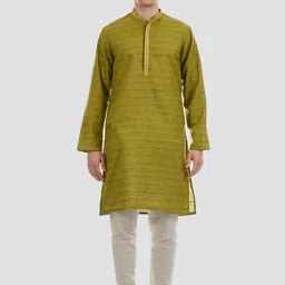Ethnicity Men Green Solid Thread Work Straight Kurta-picture-28