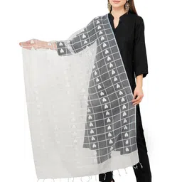 Rhe-Ana Blue & White Woven Design Art Silk Dupatta-picture-46