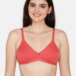Zivame Non Padded Non-Wired Cut and Sew Everyday Bra-image-16