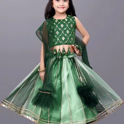 BAESD Girls Embroidered Mirror Work Detail Net Ready to Wear Lehenga & Blouse With Dupatta-picture-10