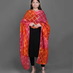 Apratim Checked Printed Zari Dupatta-24