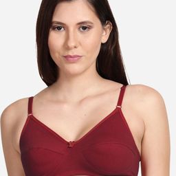 shyaway Pack Of 3 Non Padded T shirt Bra-image-78