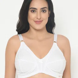 Curvy Love Plus Size White Solid Non-Wired Non Padded Everyday Bra CL-03 WHITE-C20-picture-18