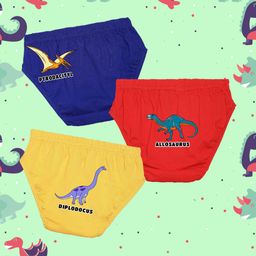 NUSYL Boys Pack Of 3 Printed Mid Rise Basic Briefs - NUBCBRFPO3.0121-picture-24