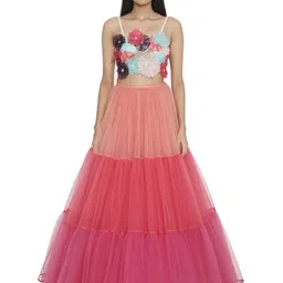 Payal Singhal Embellished Beads and Stones Ready to Wear Lehenga &-picture-58