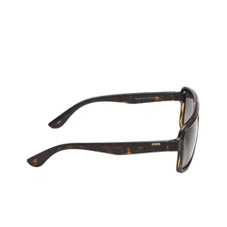 IDEE Men Square Sunglasses with Polarised and UV Protected Lens image 3
