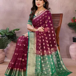 Moda Rapido Ethnic Motifs Woven Design Organza Saree-picture-34