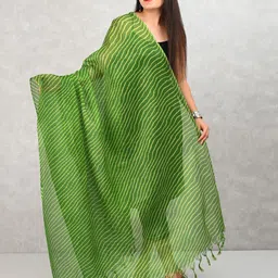Apratim Leheriya Printed Dupatta-14