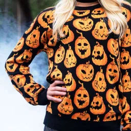 DressBerry Women Self Design Round Neck Long Sleeves Regular Pullover-picture-38
