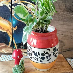 NIYARA Red & White Printed Ceramic Planter-image-30