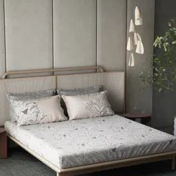 DDecor Beige 180 TC Bedsheet with 4 Pillow Covers-picture-23
