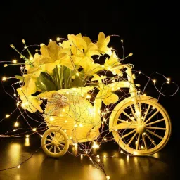 trendx 30 LEDs 3 m Gold Steady String Rice Lights image 5