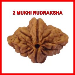 2 Mukhi (do mukhi) Rudraksha 100% Natural Nepal Rudraksha by Lab Certified Wood Pendant-image-1
