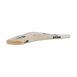 SG HISCORE Xtreme Cricket Bat-3