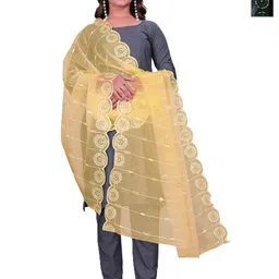 Kemza Selection Of 2 Geometric Embroidered Organza Dupattas With Sequinned-picture-15