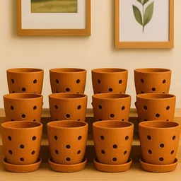 The handicraftian Set of 12 Hexane Orchid Planter Medium 6.5 Inch-picture-7