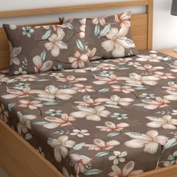 CHHAVI INDIA Brown & Blue Floral 210 TC Queen Bedsheet with 2 Pillow Covers-image-48
