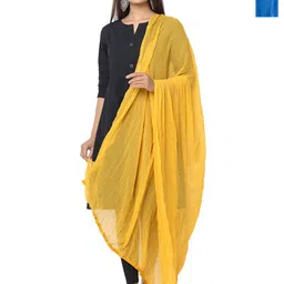 HELLA FASHIONS Selection Of 2 Chiffon Dupattas-picture-4