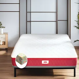COIRFIT Maroon & White Quilted Cotton Orthopedic King Size Mattress-picture-38