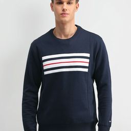 Arrow Sport Men Striped Sweatshirt-image-100