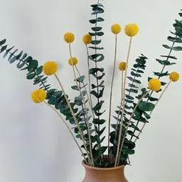 ArteCasa Yellow & Green Billy Balls & Eucalpytus Artificial Plant-27