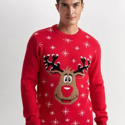 DeFacto Men Printed Pullover-image-94