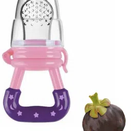 SST Sales Baby Food And Fruit Nibbler & Pacifier Teether BPA Free Nibbler NH156 Feeder-picture-20