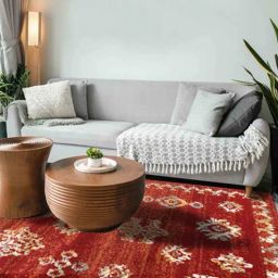 sapana carpet-mats Red Traditional Polypropylene 3 ft X 5 ft Machine Made Carpet-picture-5