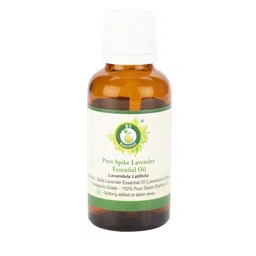 R V Essential Pure Spike Lavender Essential Oil - 50 ml-image-83