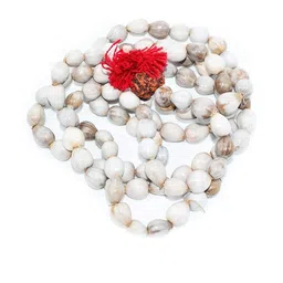 Divine souvenirs White Alloy Necklace-28