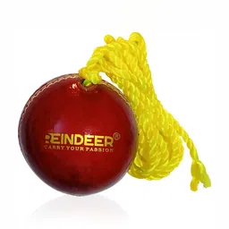 HackerX Leather Sports Cricket Ball-15