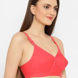 Floret Pack of 2 Pink & Red Non Wired Full Coverage Everyday Bra image 3