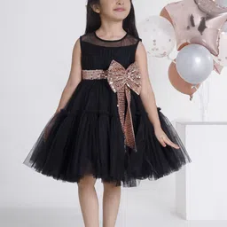 Ministitch Applique Net Fit & Flare Dress-picture-15