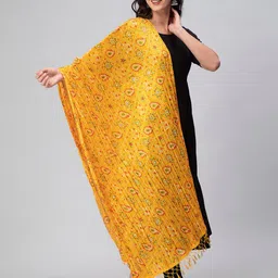Aditi Wasan Ethnic Motif Printed Dupatta image 4