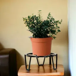 ecofynd Patio Black Metal Plant Stand-picture-3
