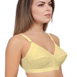 Eve's Beauty Pack Of 2 Assorted Full Coverage Minimizer Bra With Side Shaper image 4