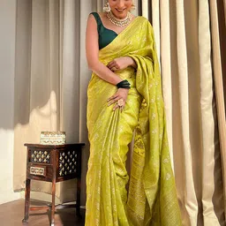 AMRUTKALA SAREES Women Woven Design Zari Banarasi Saree-picture-57
