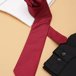 Allen Solly Men Maroon Embroidered Formal Printed Broad Tie-picture-7